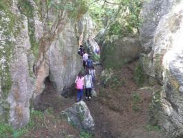 PEÑAS NEGRAS DBH 3B